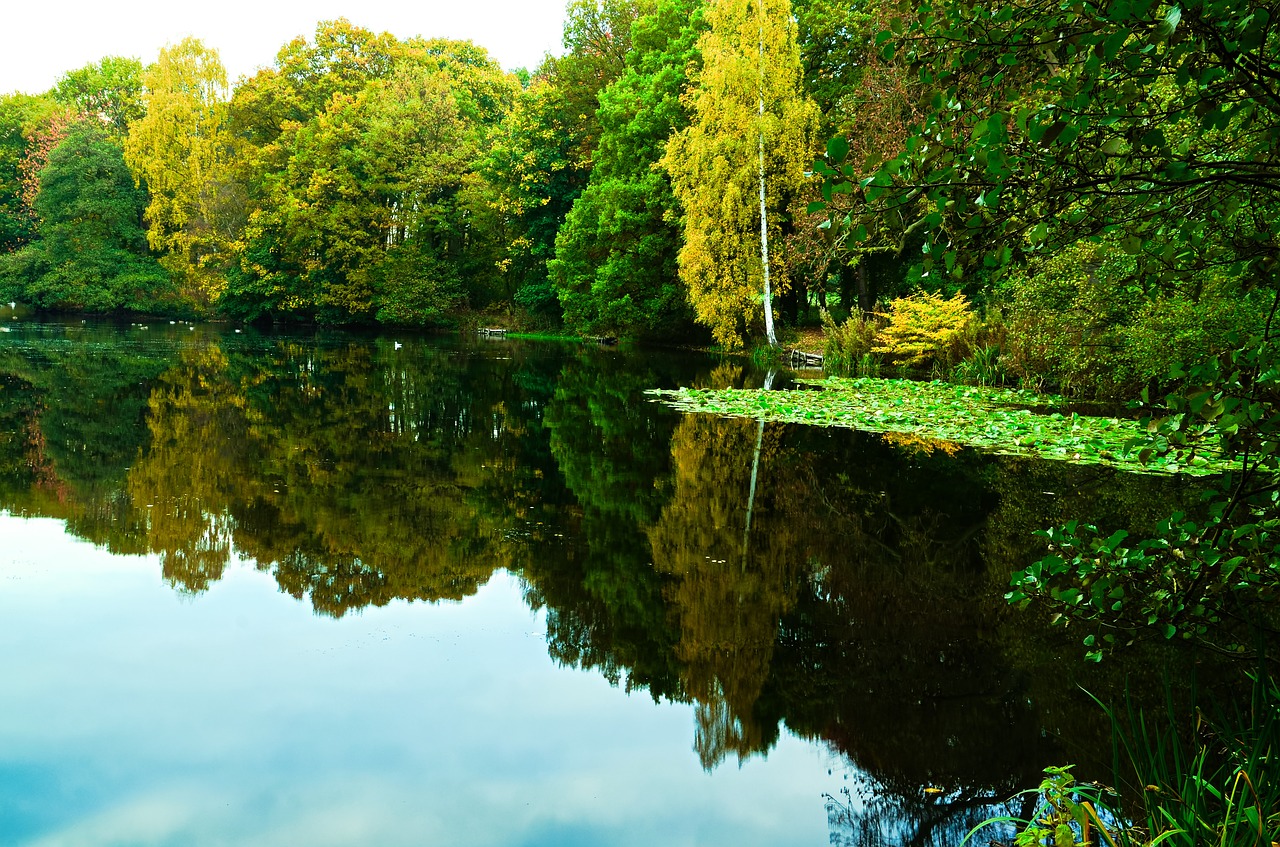 lake tree landscape free photo