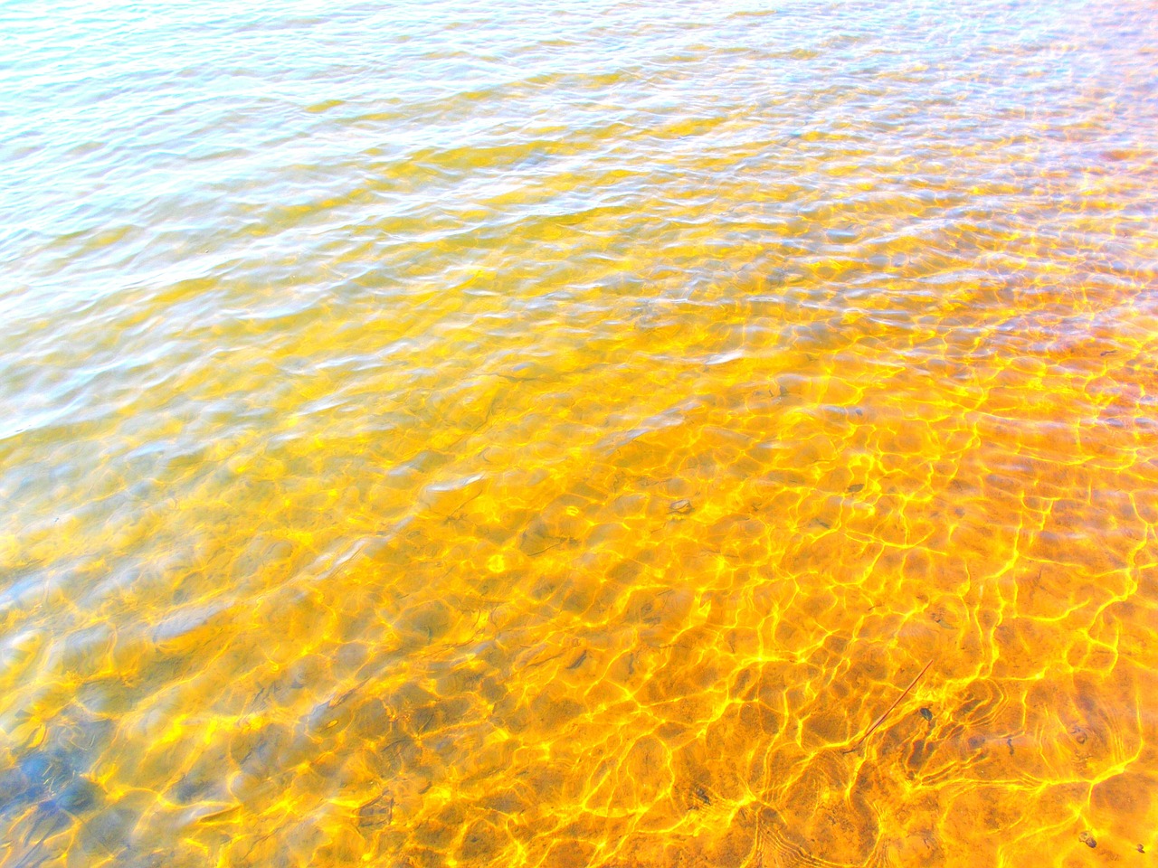 lake water surface free photo