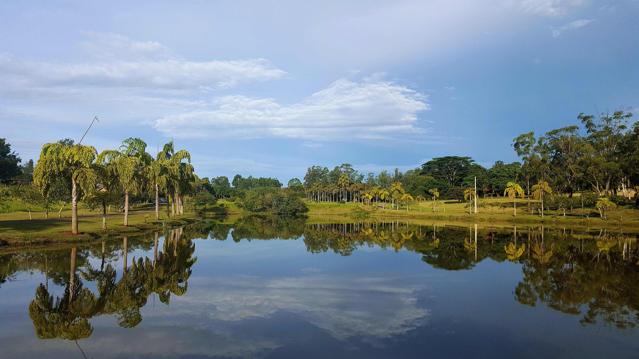 lake pond dam free photo