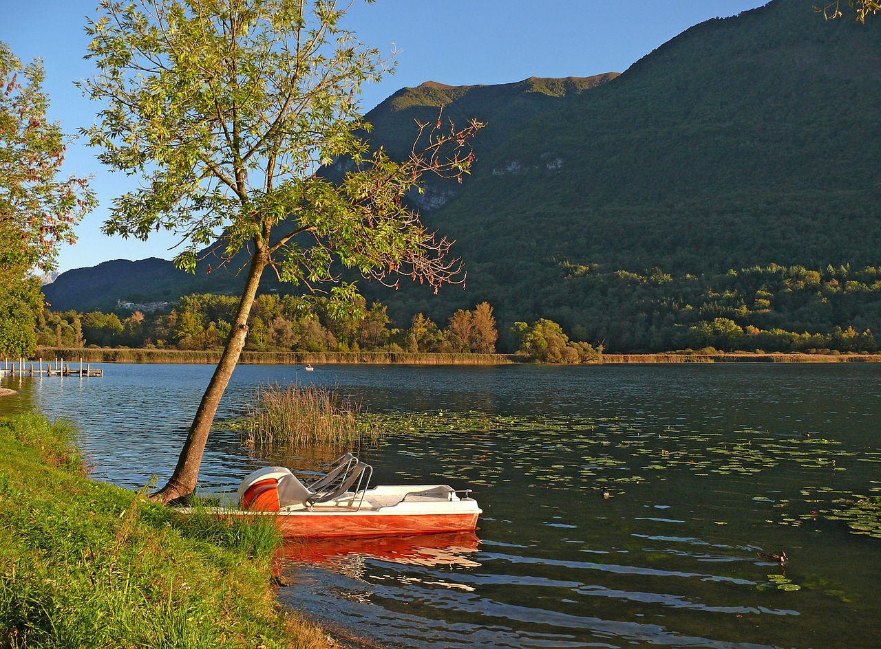 lake tree nature free photo