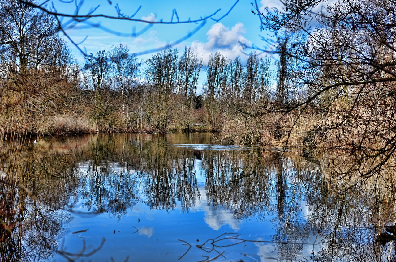 lake water reflections free photo