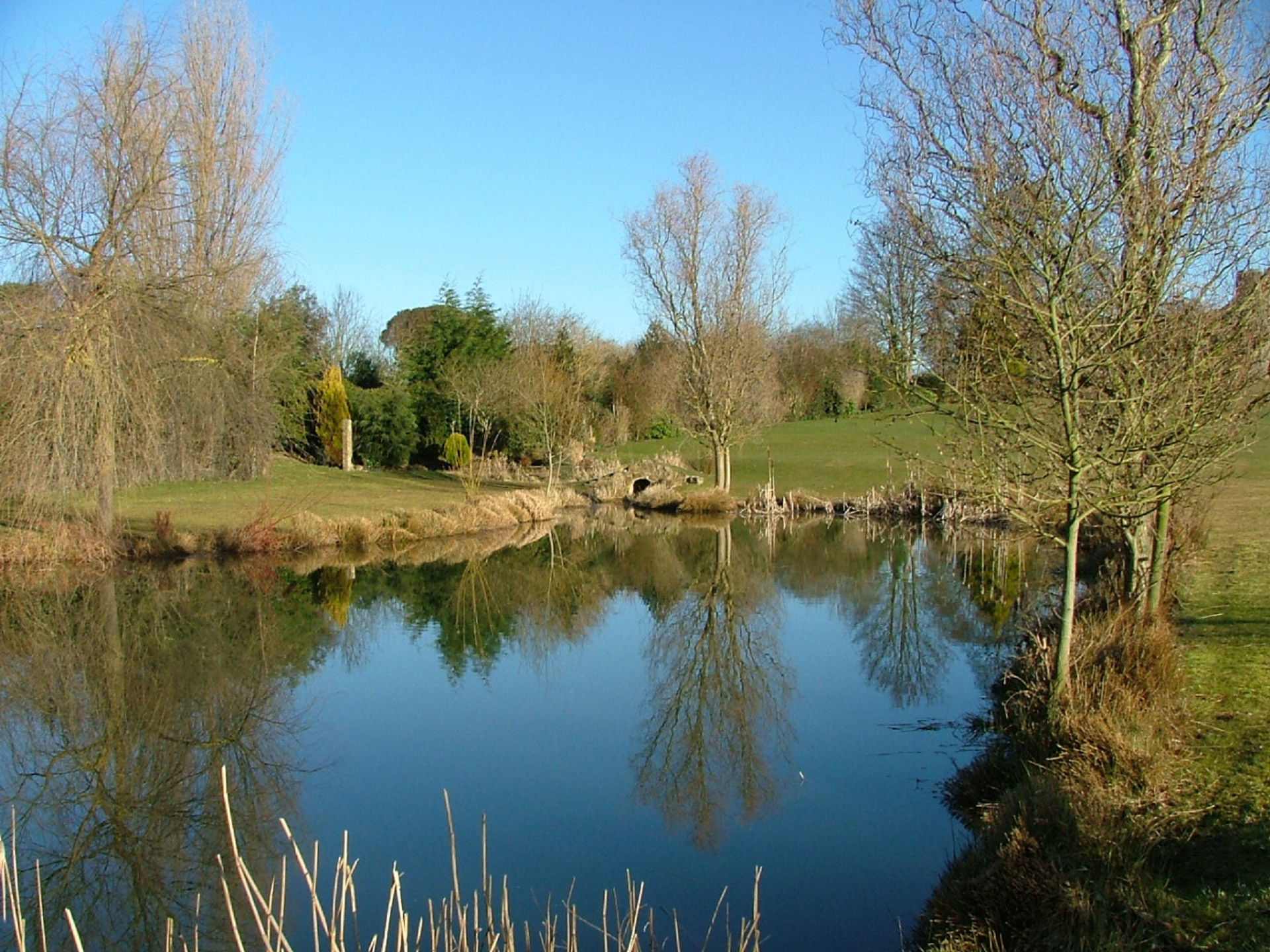 lake reflections lake free photo