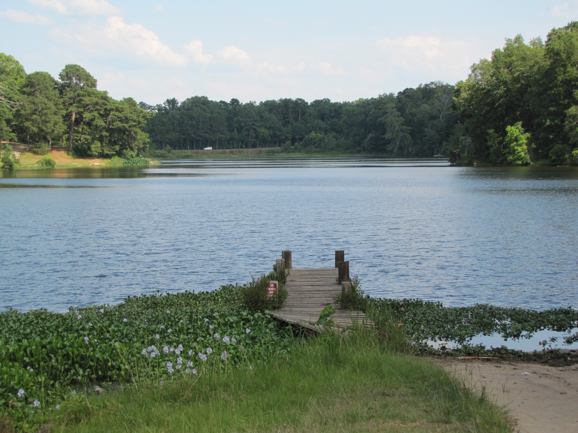 lake pier water free photo