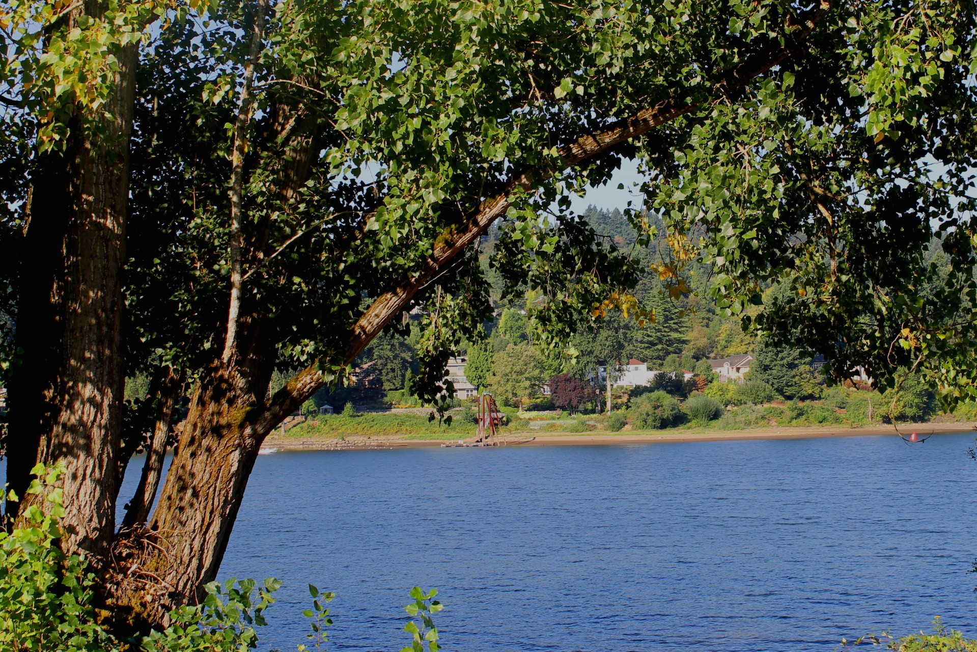 lake oregon nature free photo