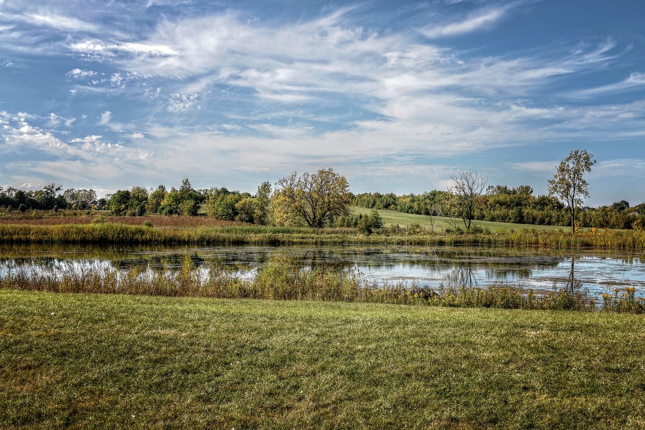 lake scenery green free photo