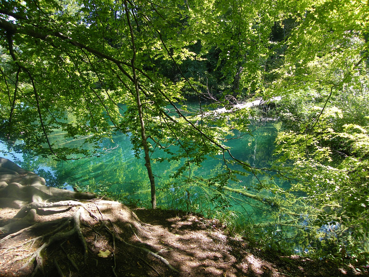 lake recovery croatia free photo