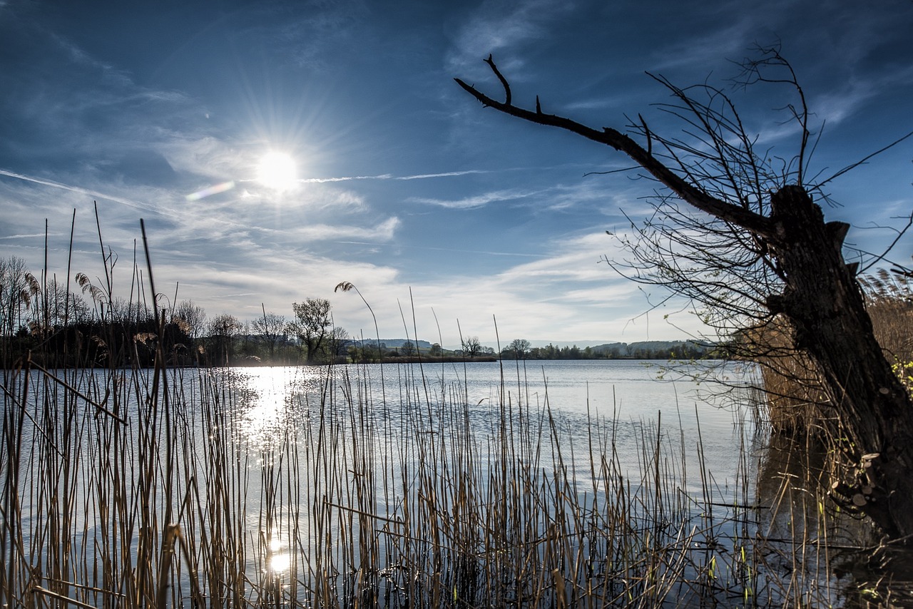 lake landscape switzerland free photo