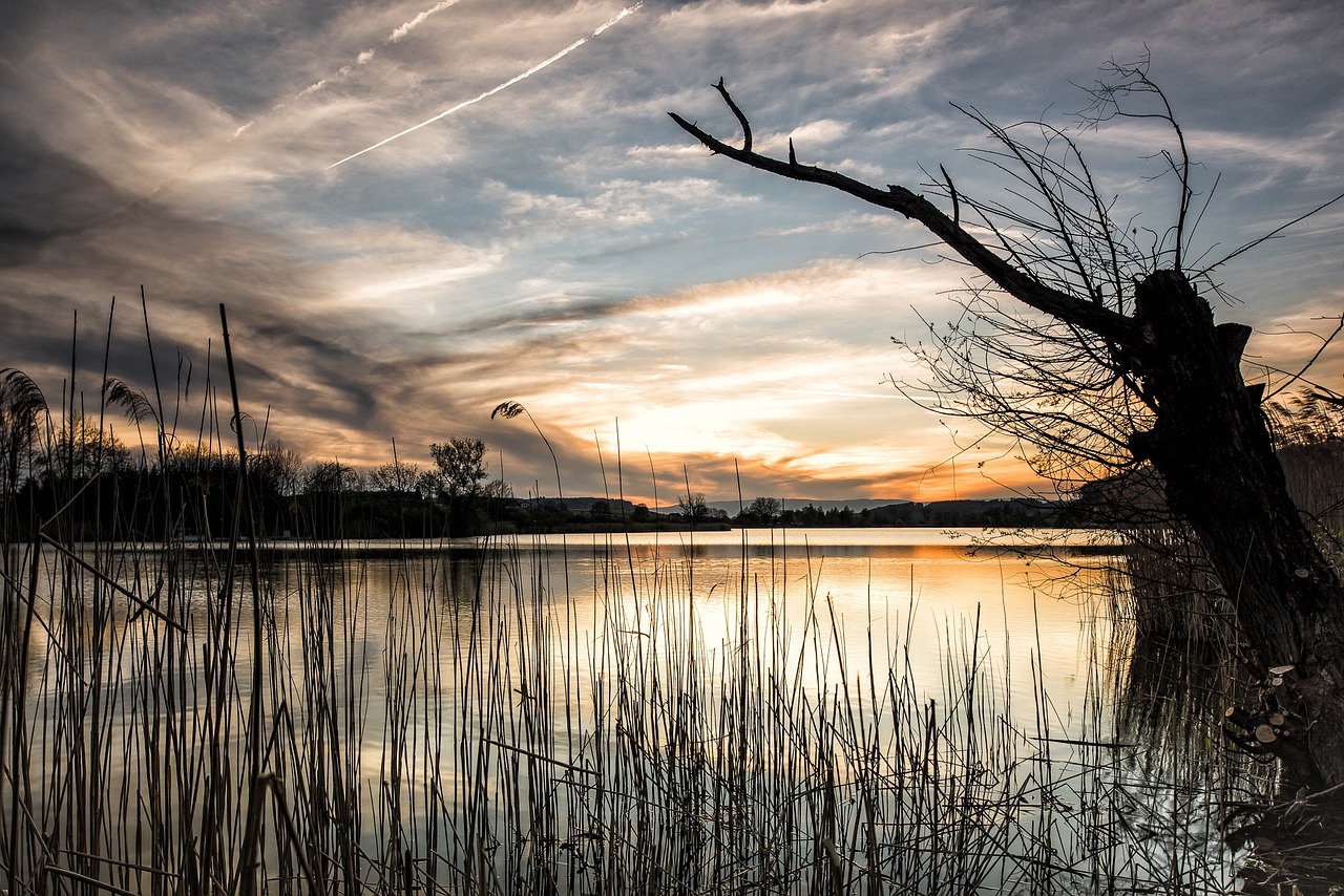 lake landscape switzerland free photo