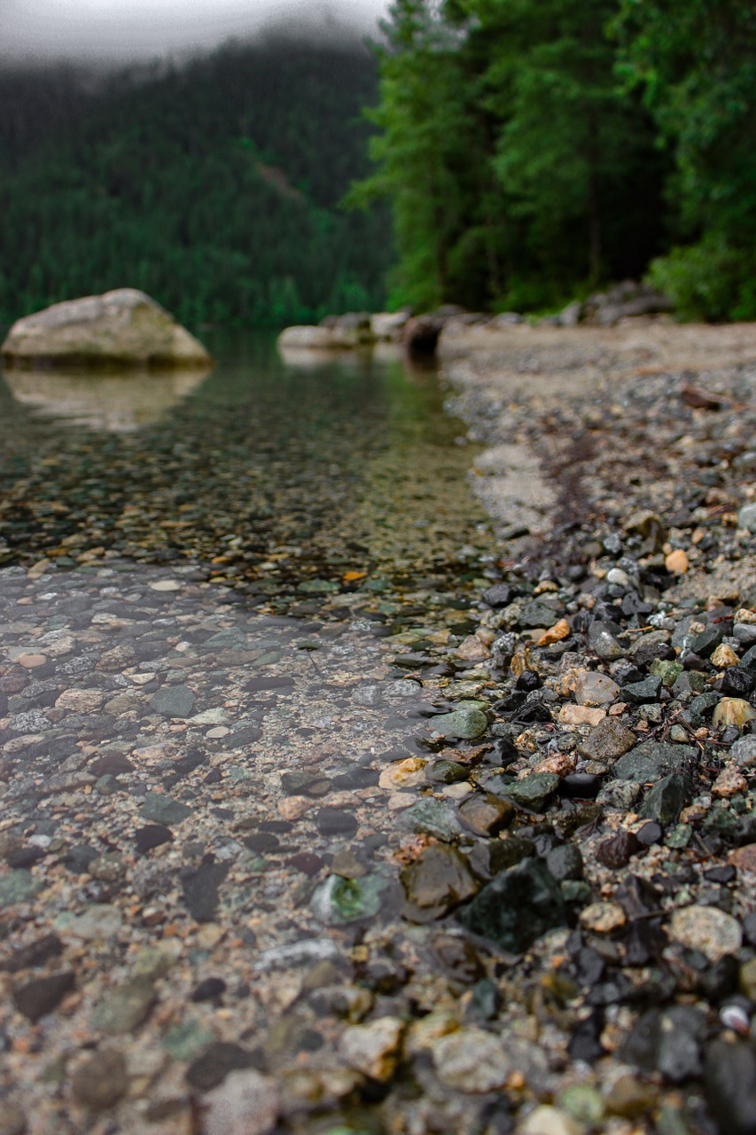 lake nature beautiful free photo