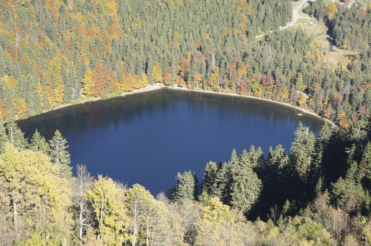 lake autumn forest free photo