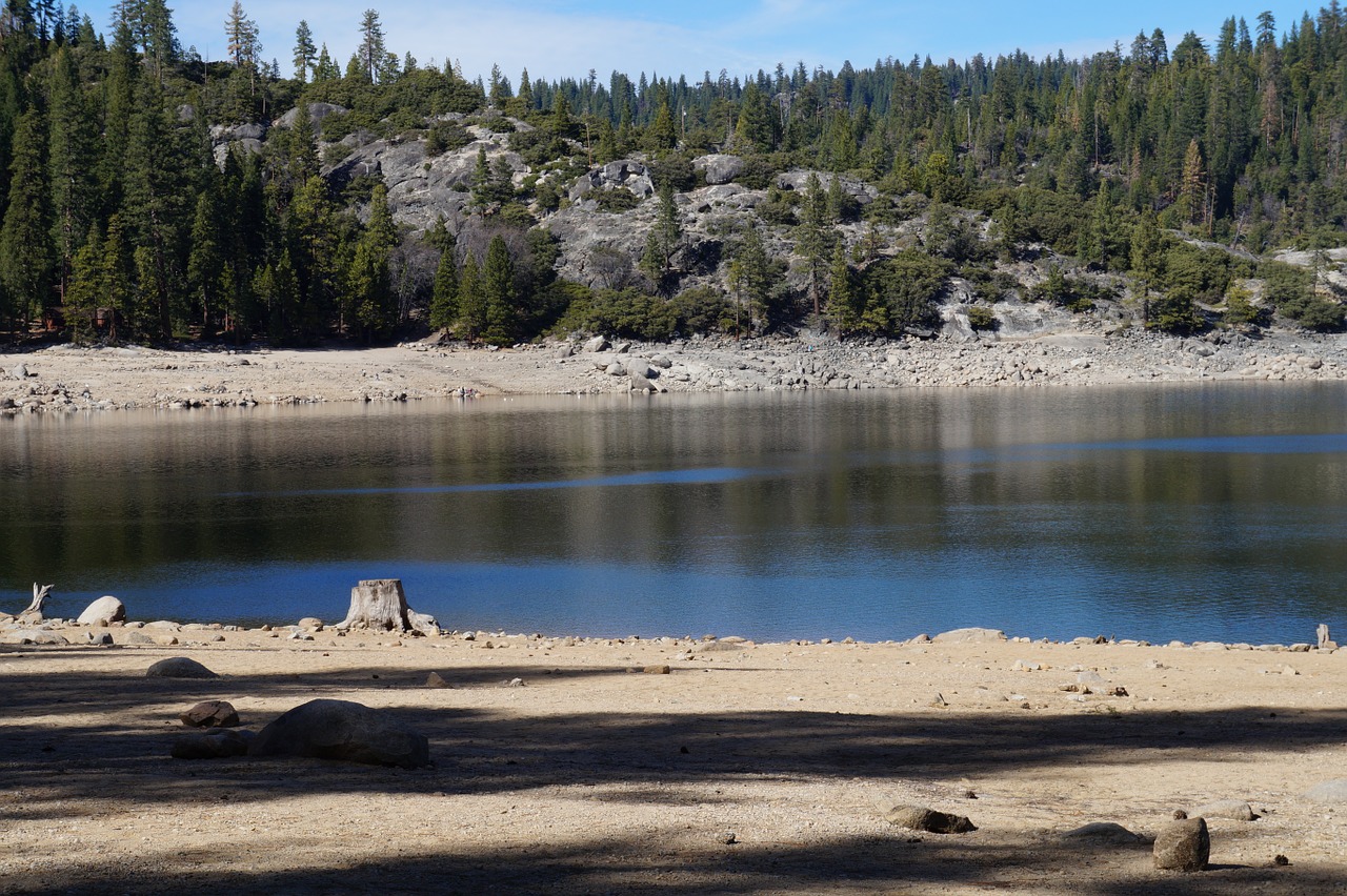 lake pinecrest nature free photo