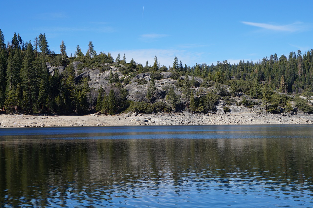 lake pinecrest nature free photo