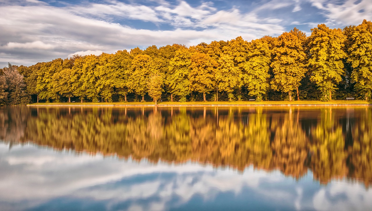 lake mirroring forest free photo