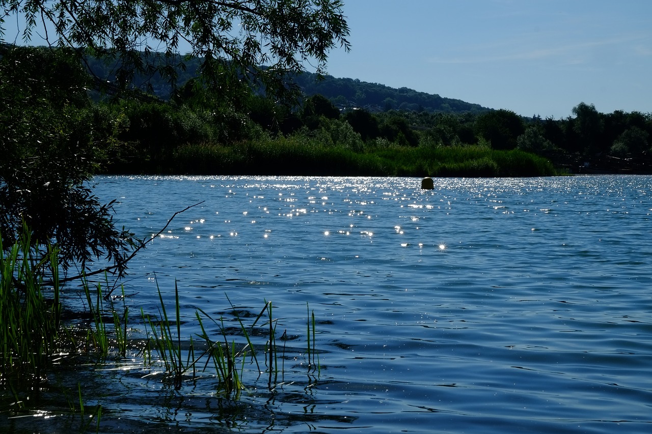 lake mirroring water free photo