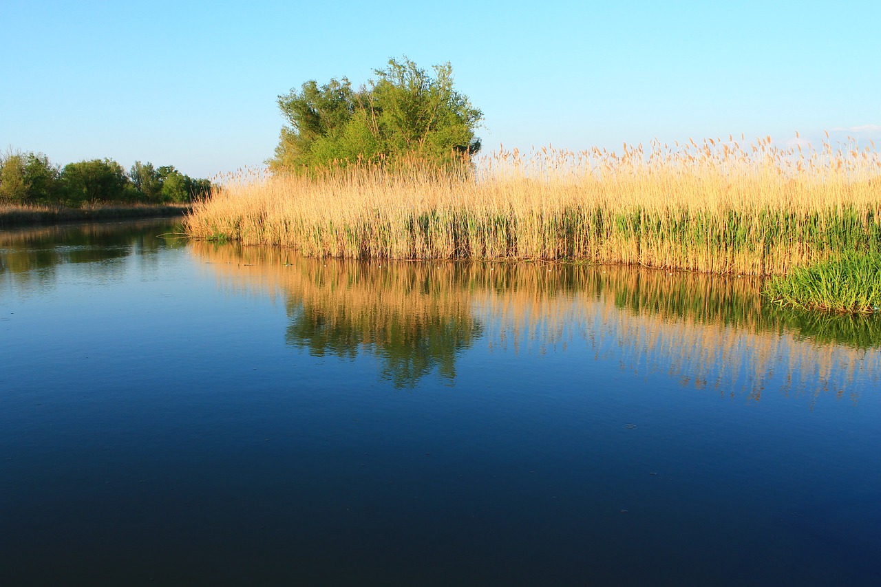 lake landscape landscapes free photo