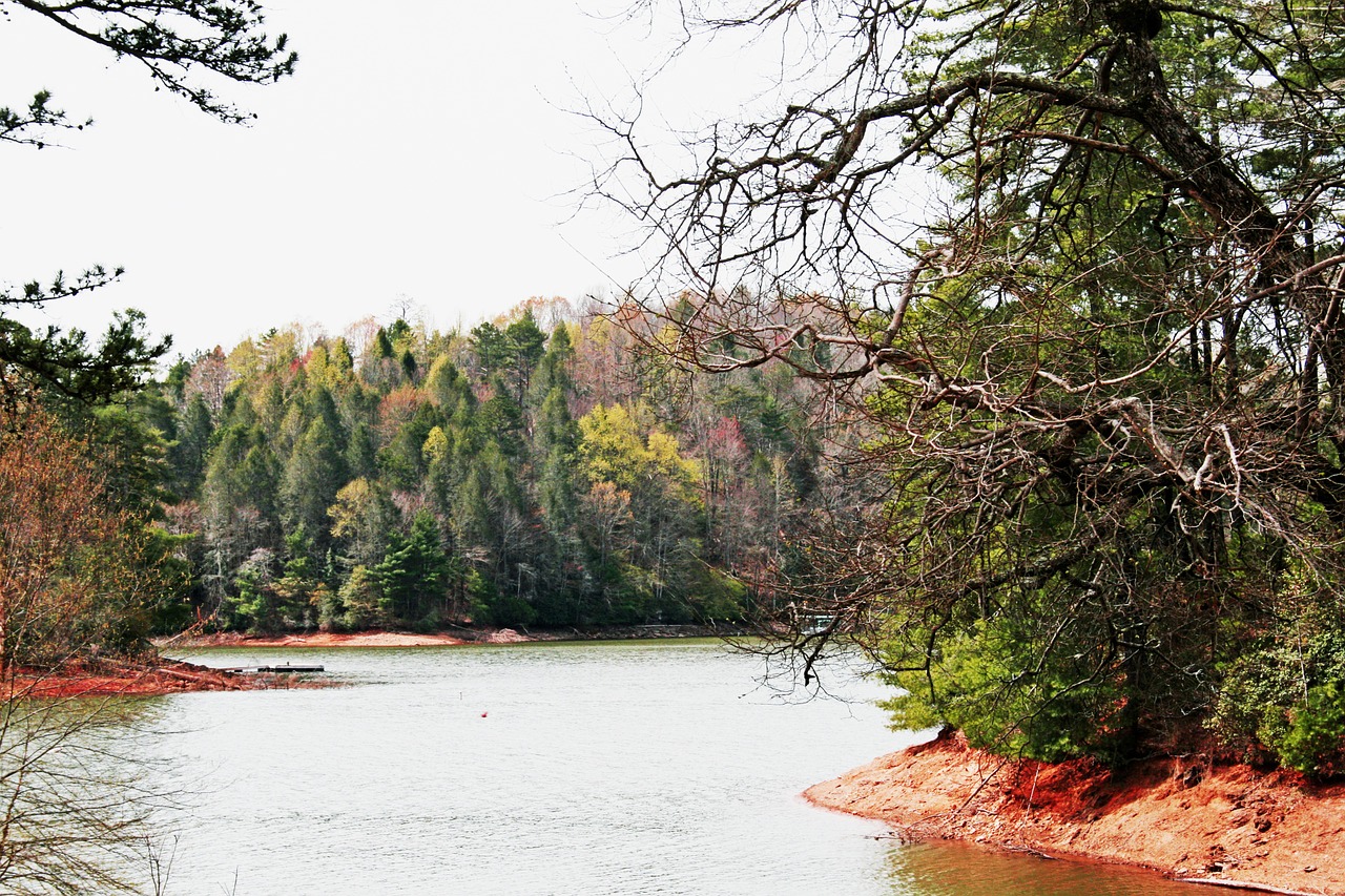 lake water summer free photo