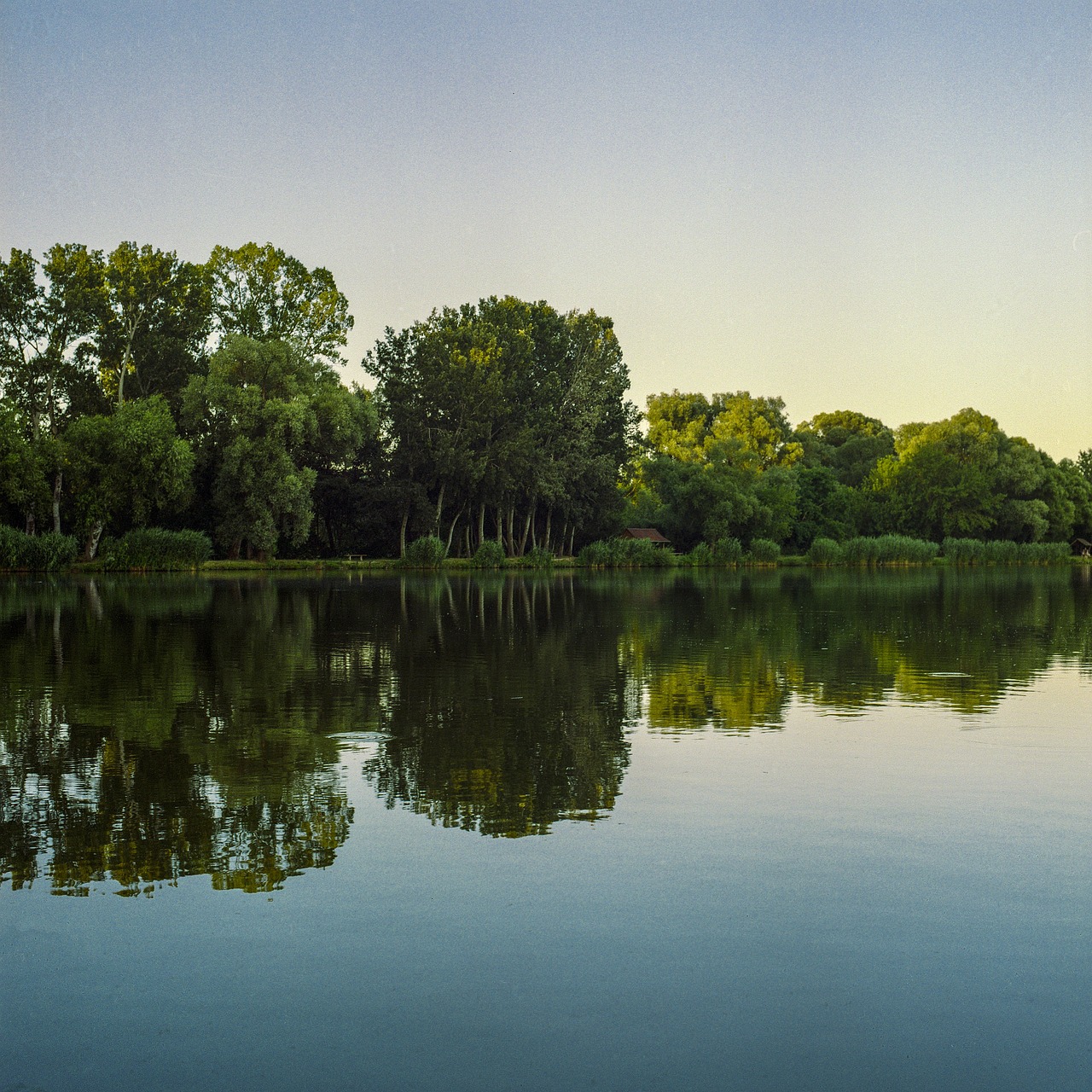 lake reflection trees free photo