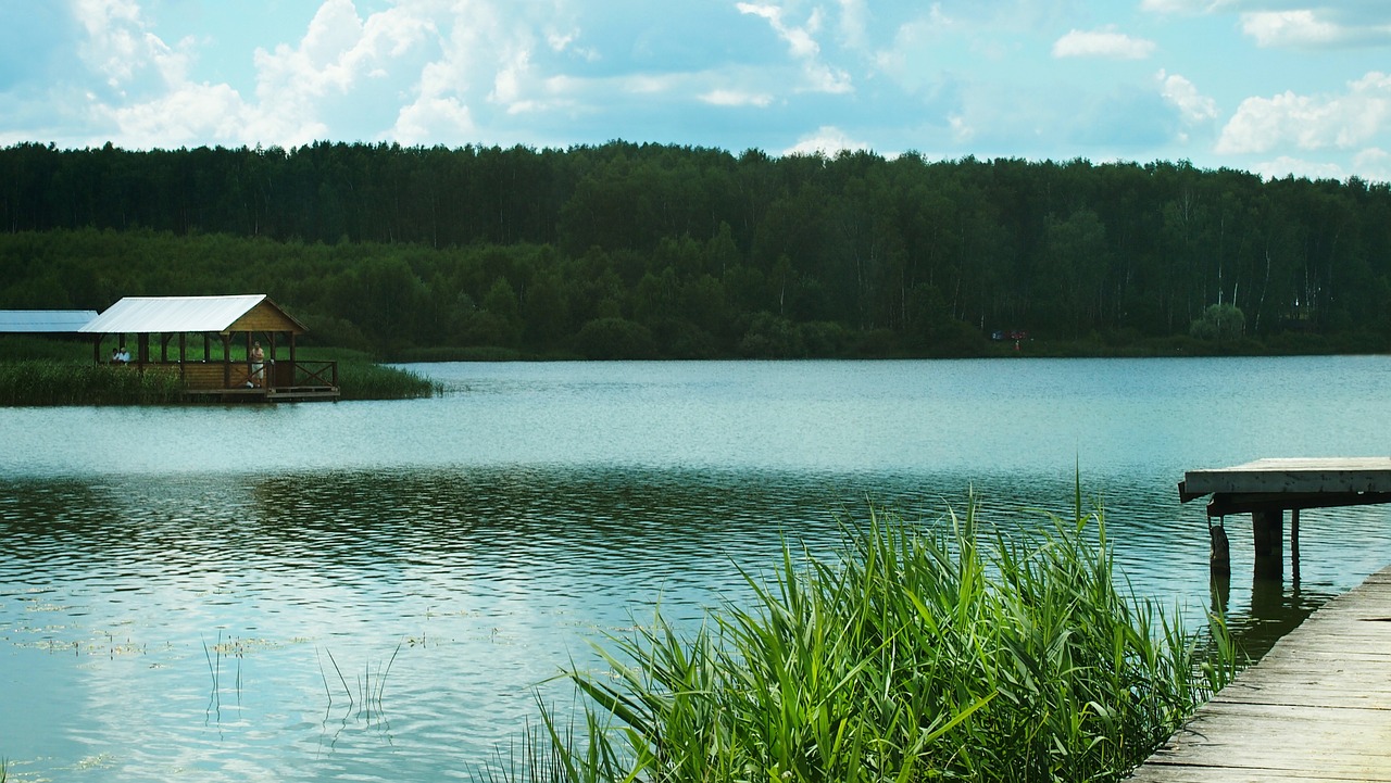 chizhkovskoe lake russian nature landscape free photo