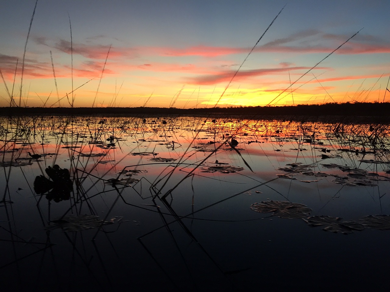 lake sunrise wetland free photo