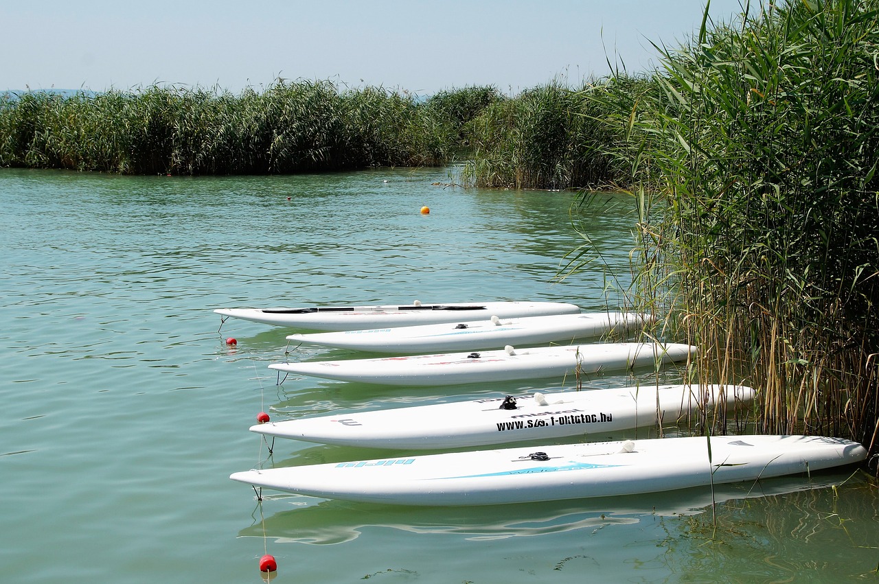 lake balaton reed free photo