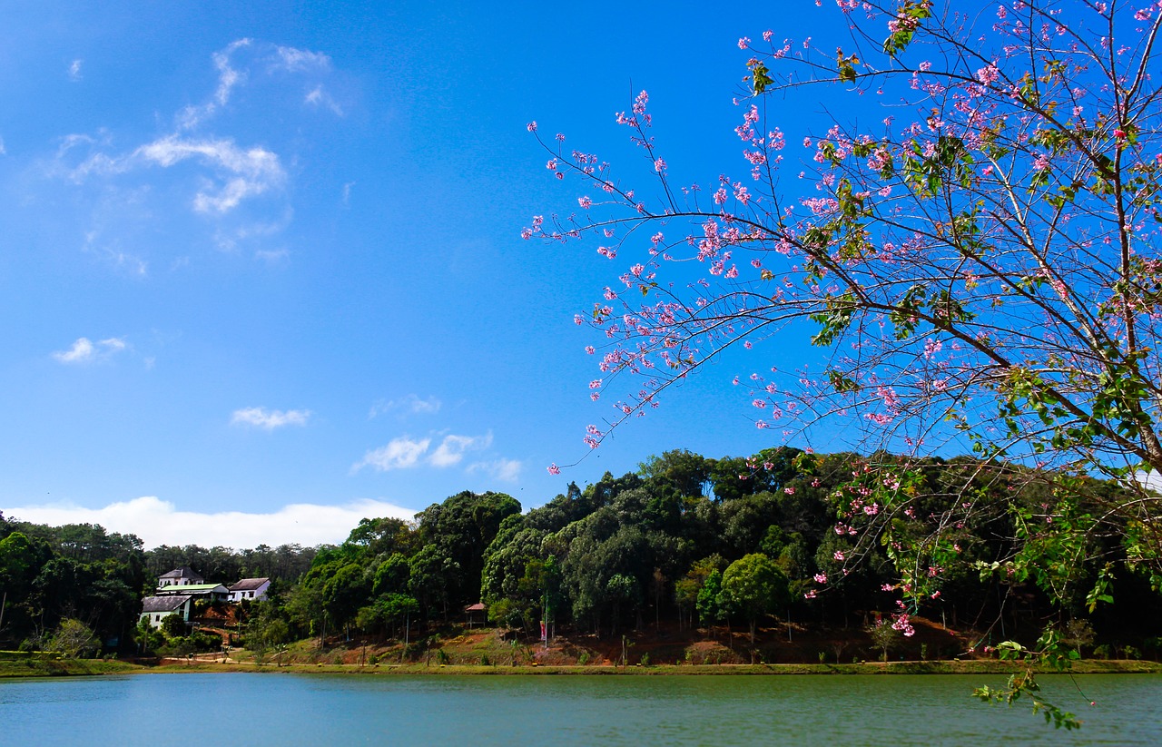 lake landscape beautiful free photo