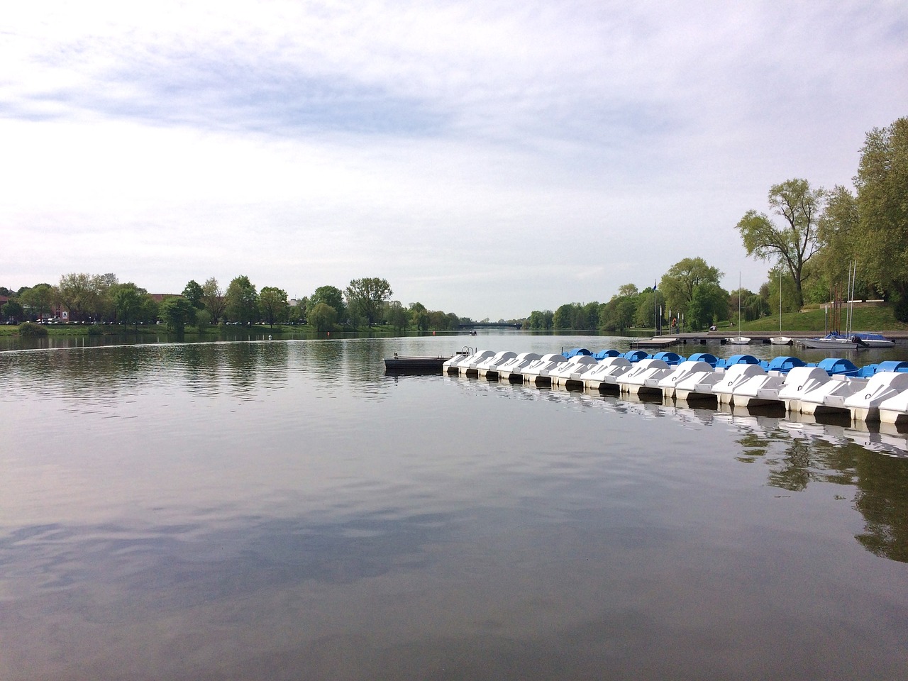 lake aasee pedal boats free photo