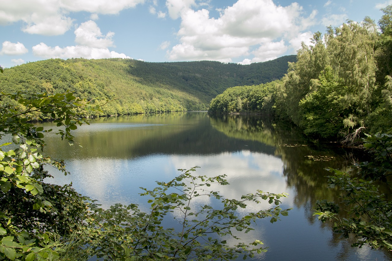 lake forest eifel free photo