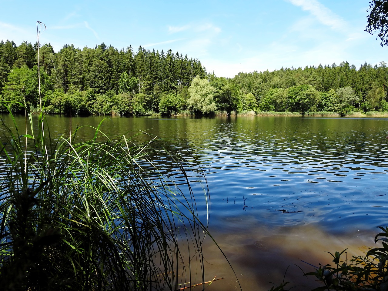 lake water landscape free photo