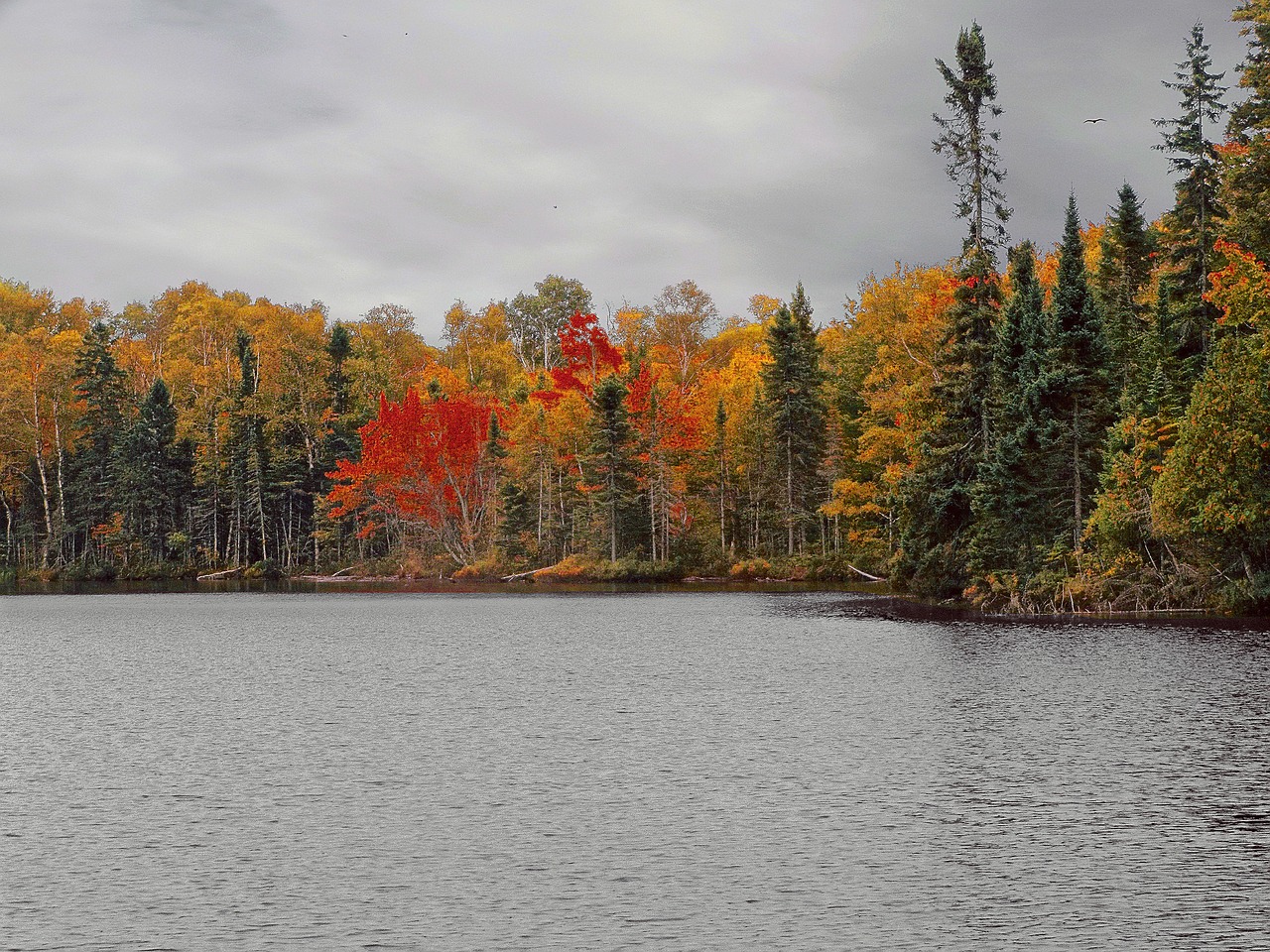 lake north water free photo