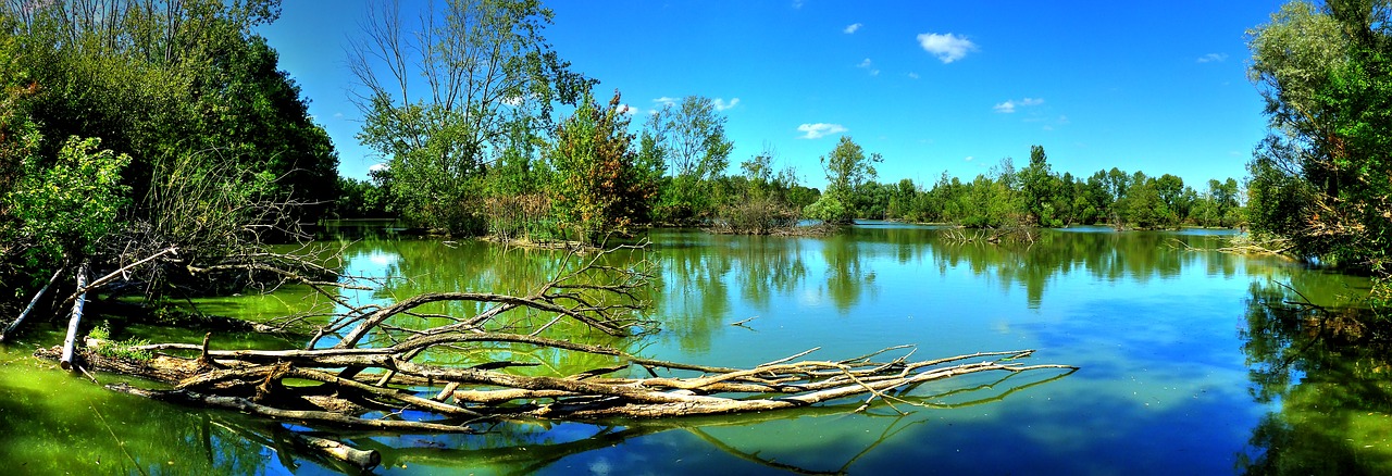 lake trees landscape free photo