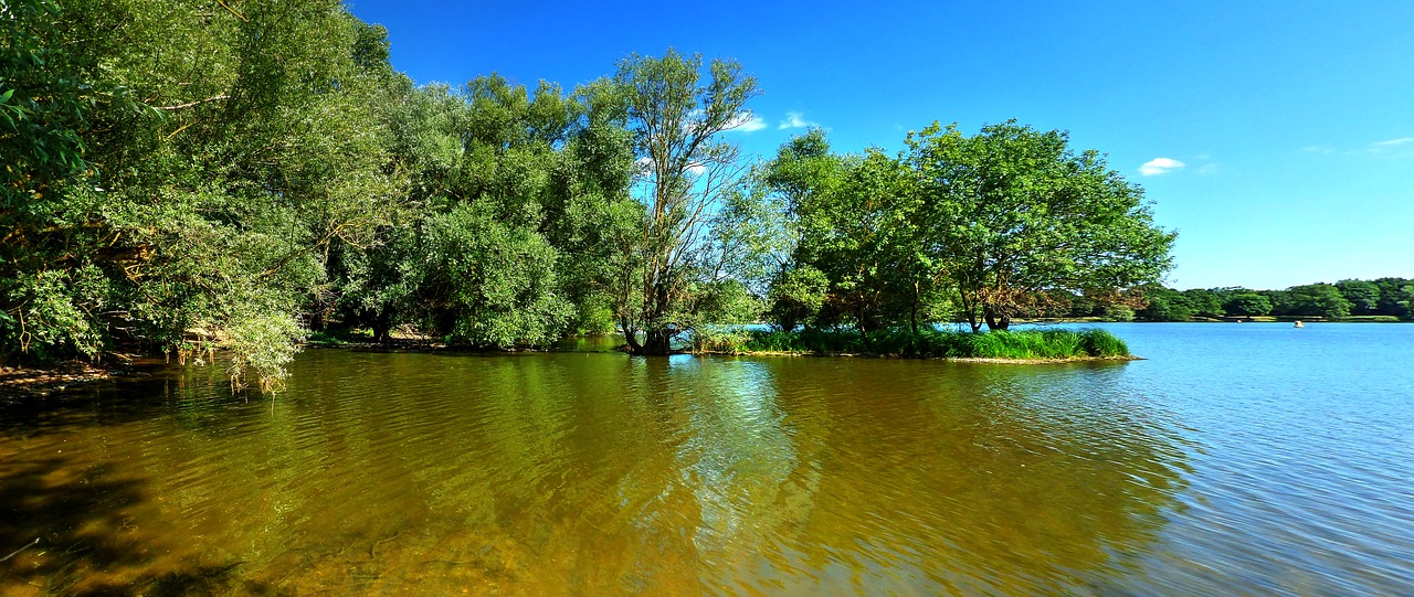 lake trees landscape free photo