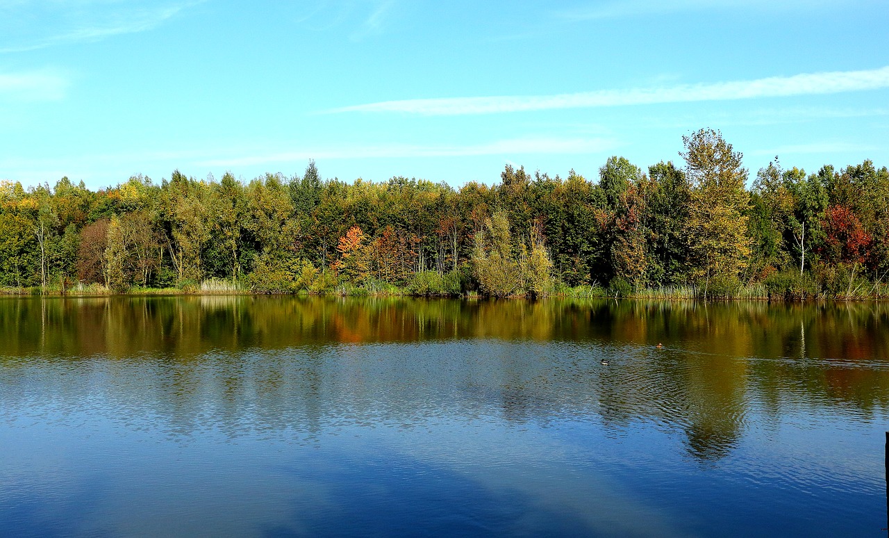 lake forest autumn free photo