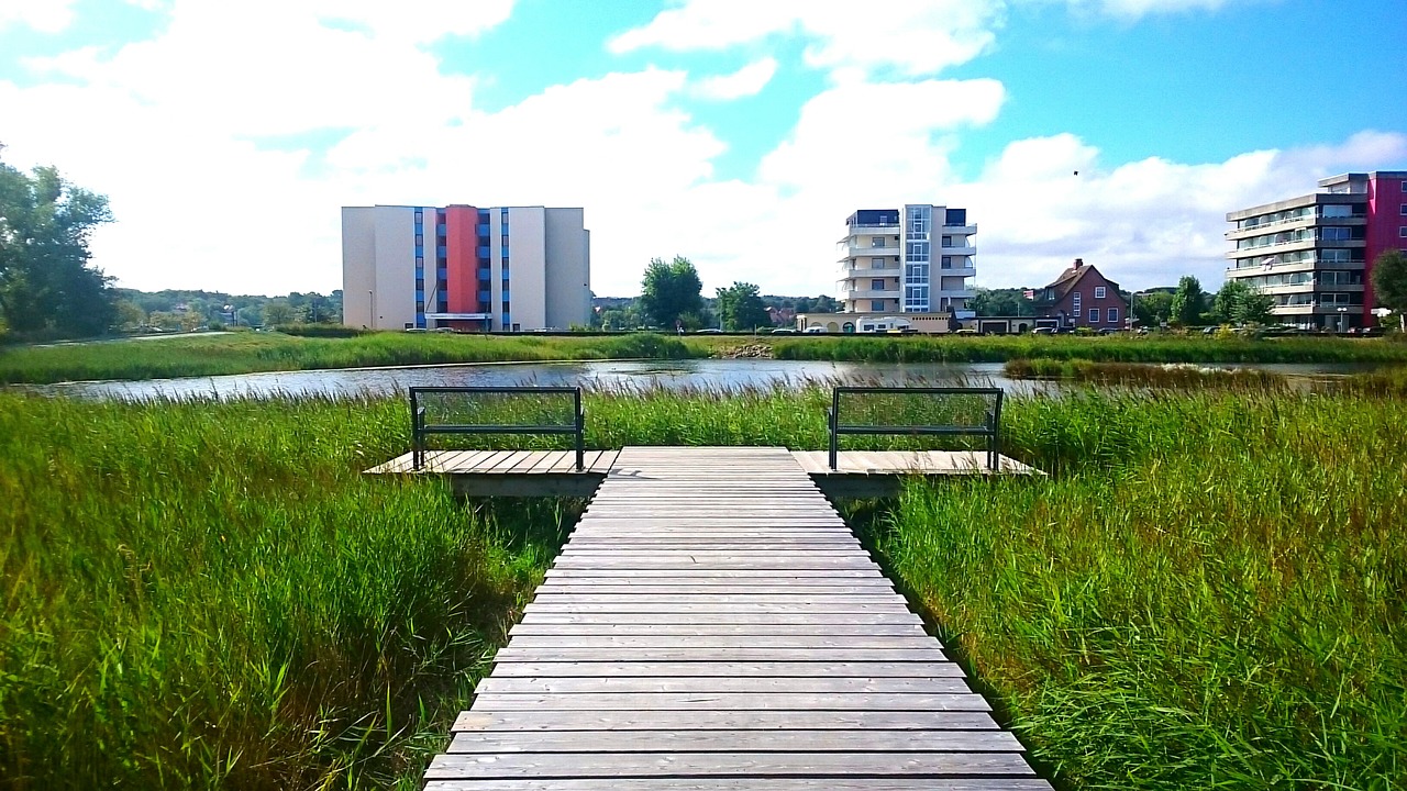 lake idyll sun free photo