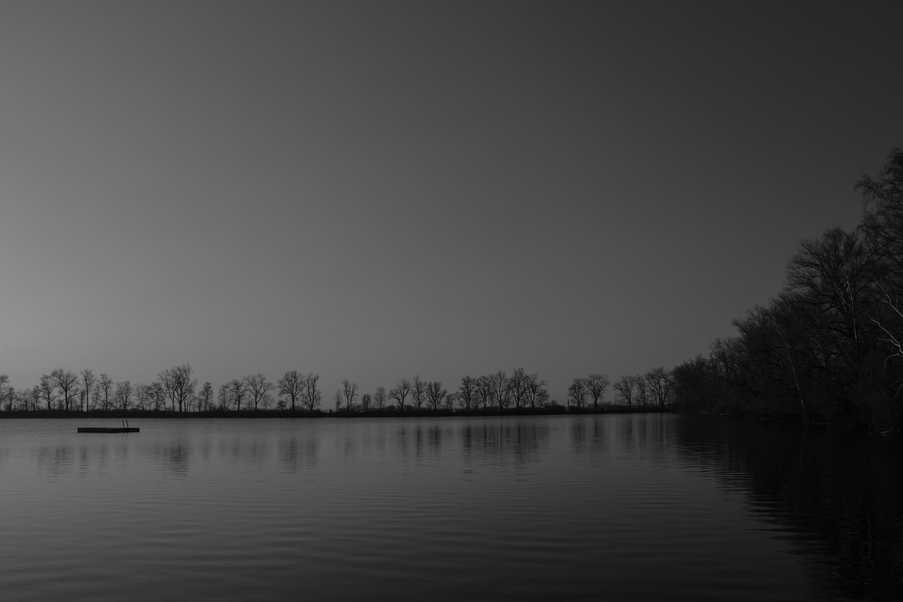 lake water pond free photo