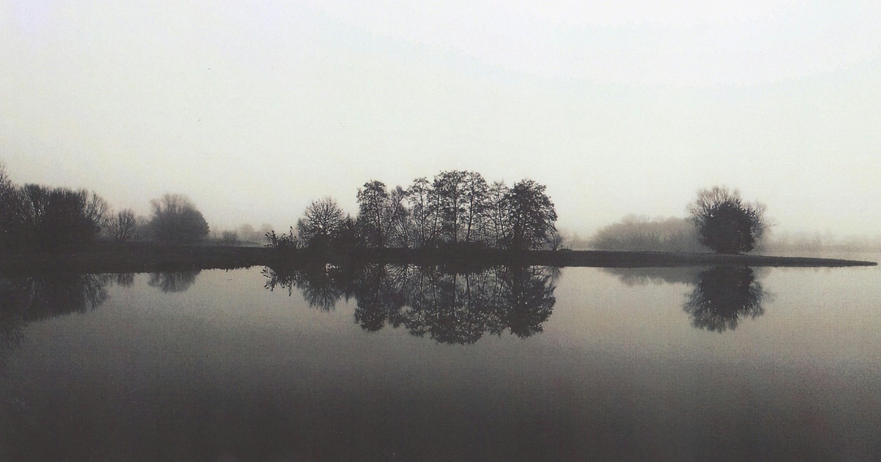 lake fog nature free photo