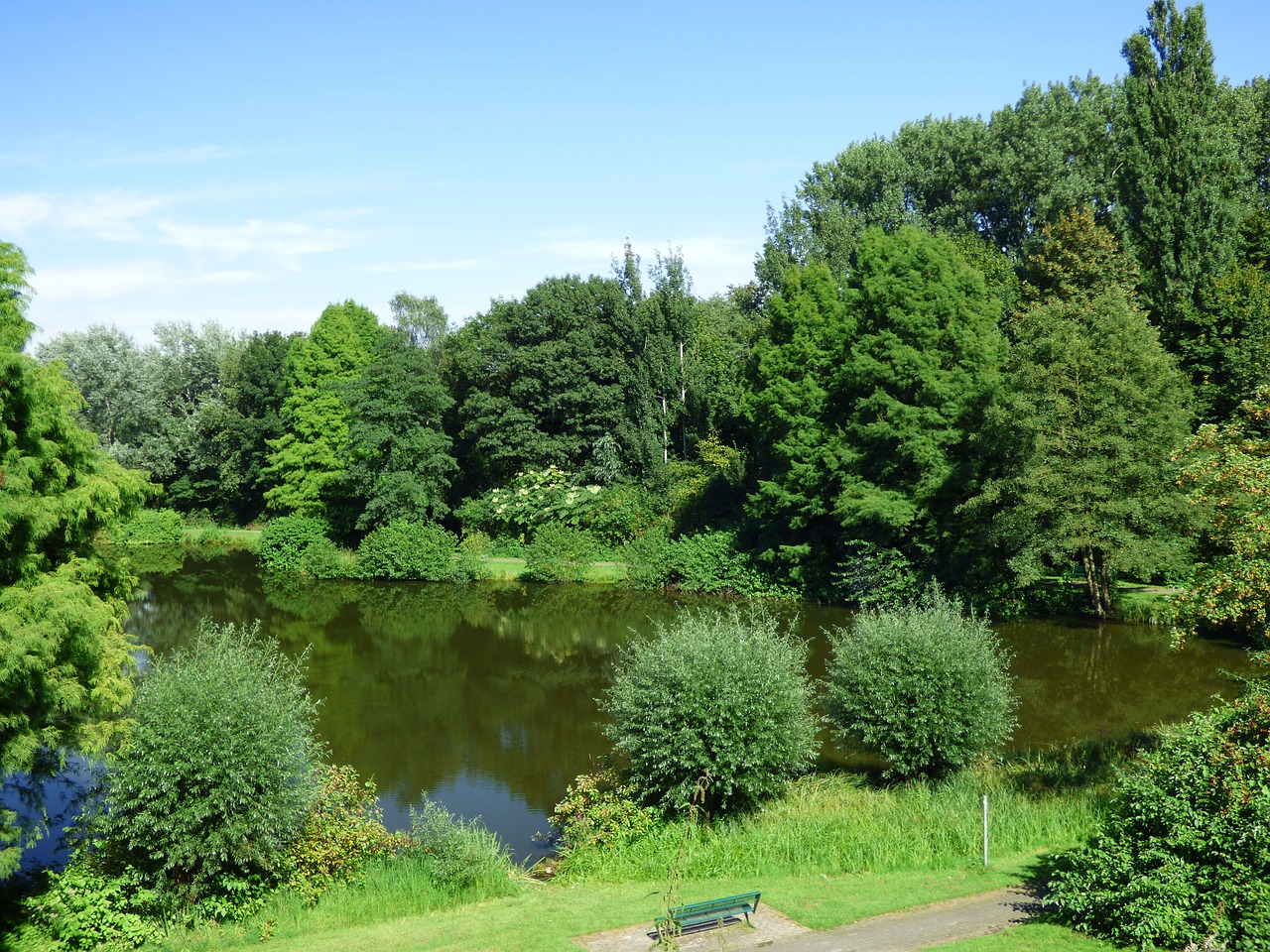 lake pond water free photo