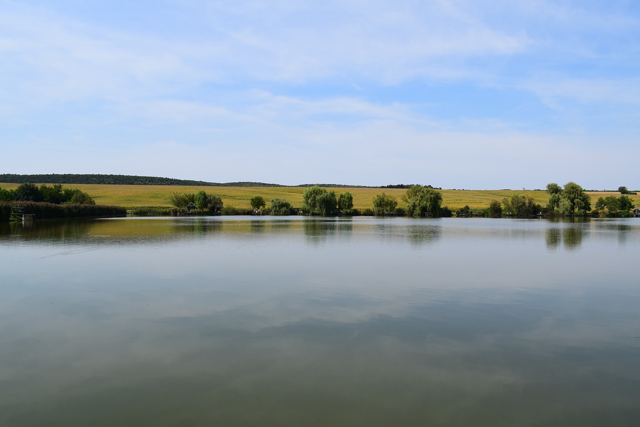 lake water blue free photo