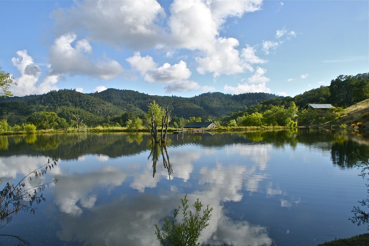 lake clouds water free photo