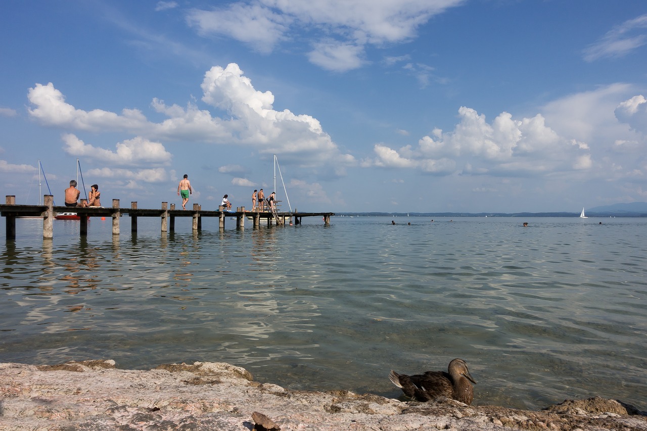 lake swim web free photo