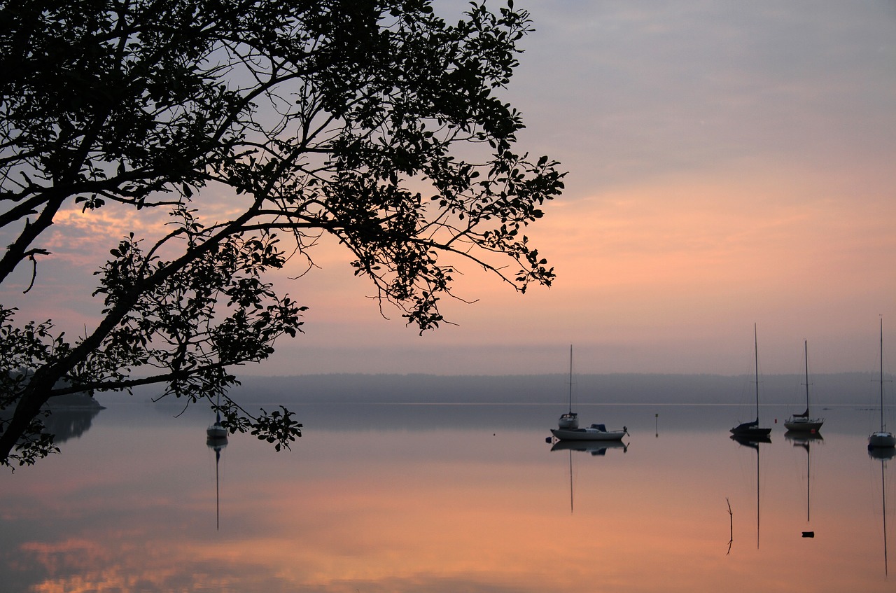 lake morning pink free photo