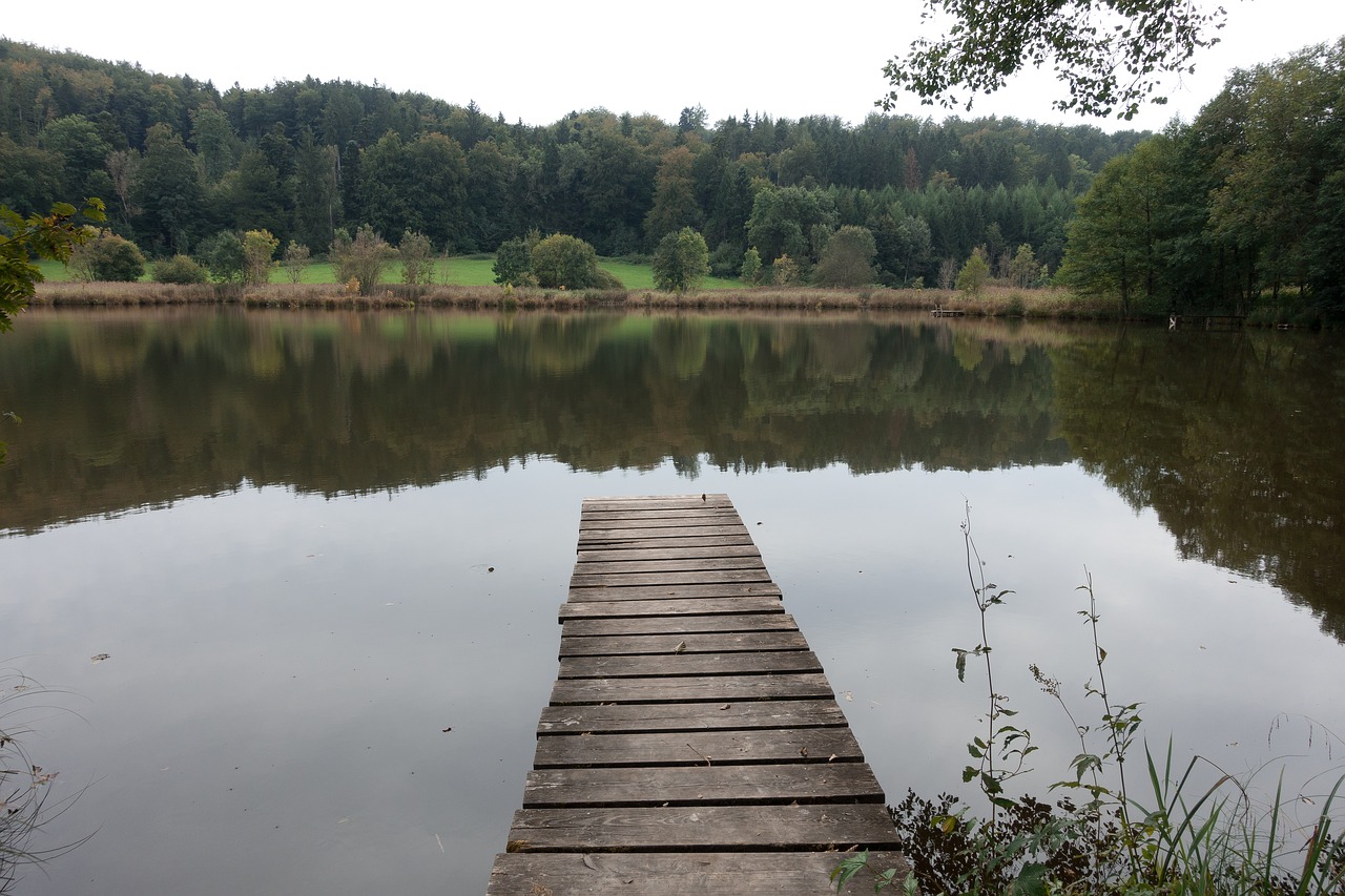 lake pond web free photo