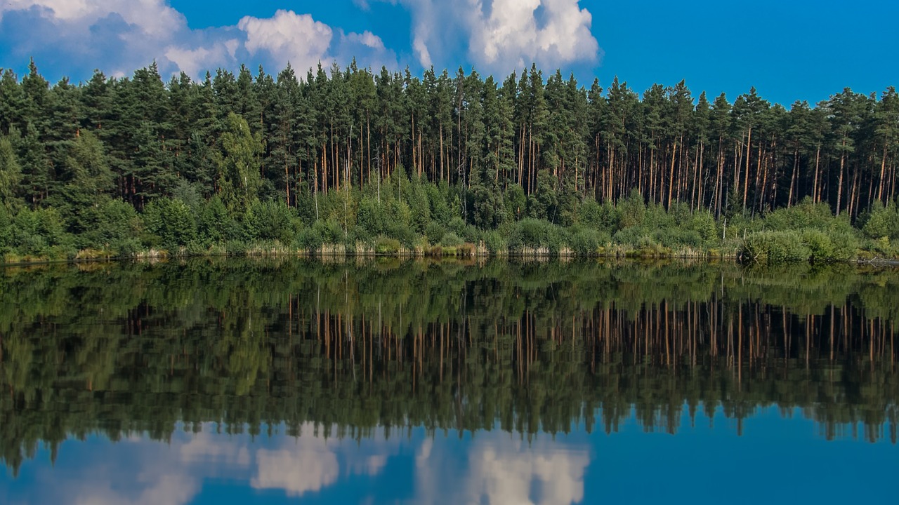 lake pond water free photo