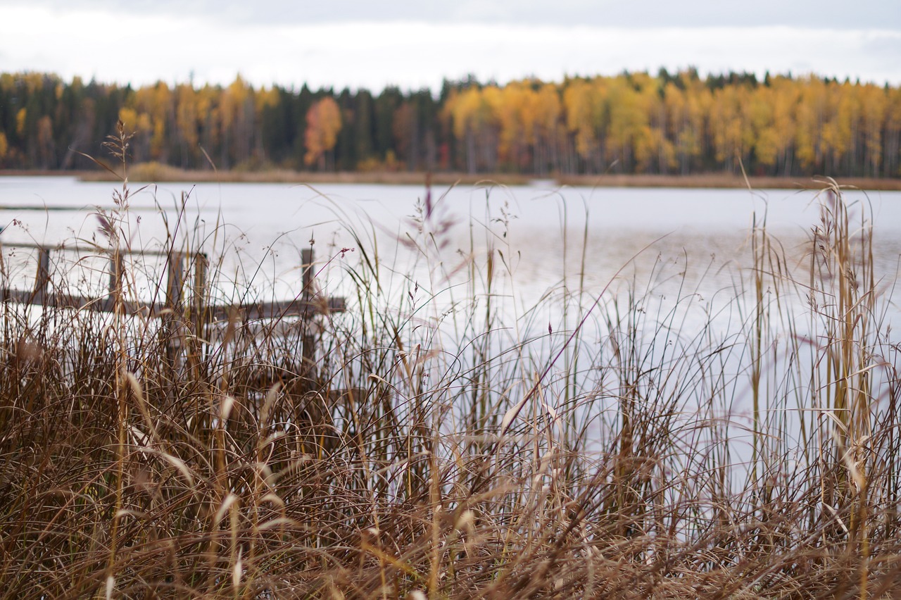 lake landscape silence free photo