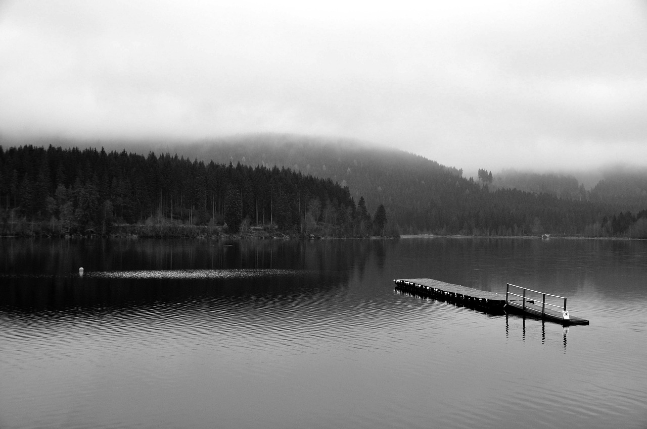 lake fog nature free photo