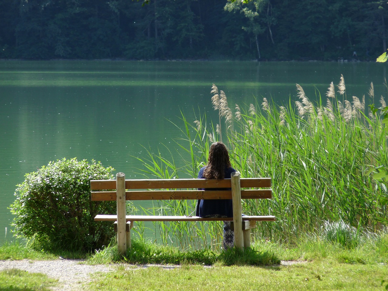 lake nature rest free photo