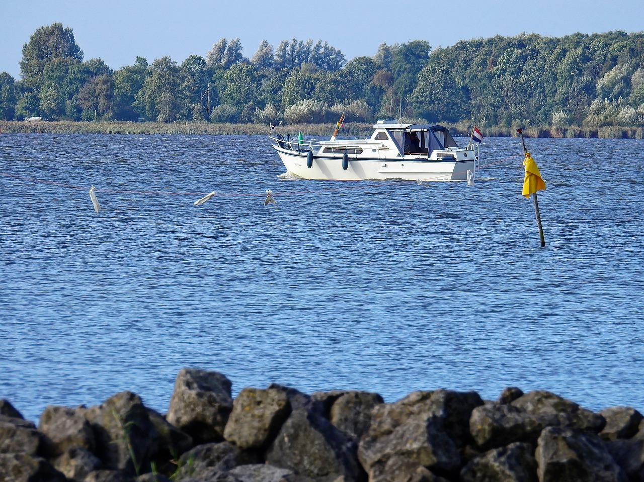 lake sea water free photo