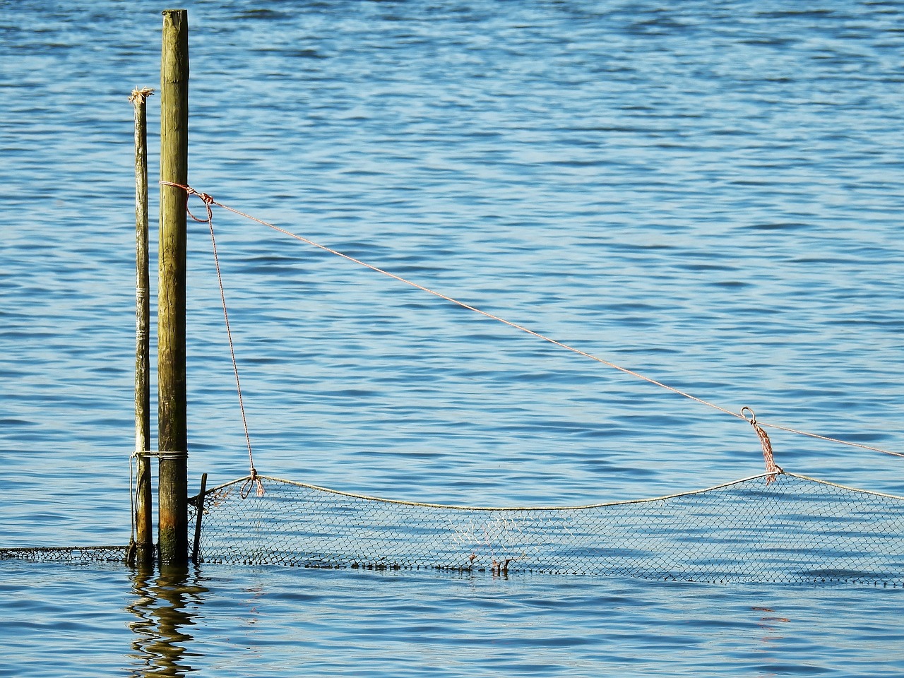 lake sea water free photo