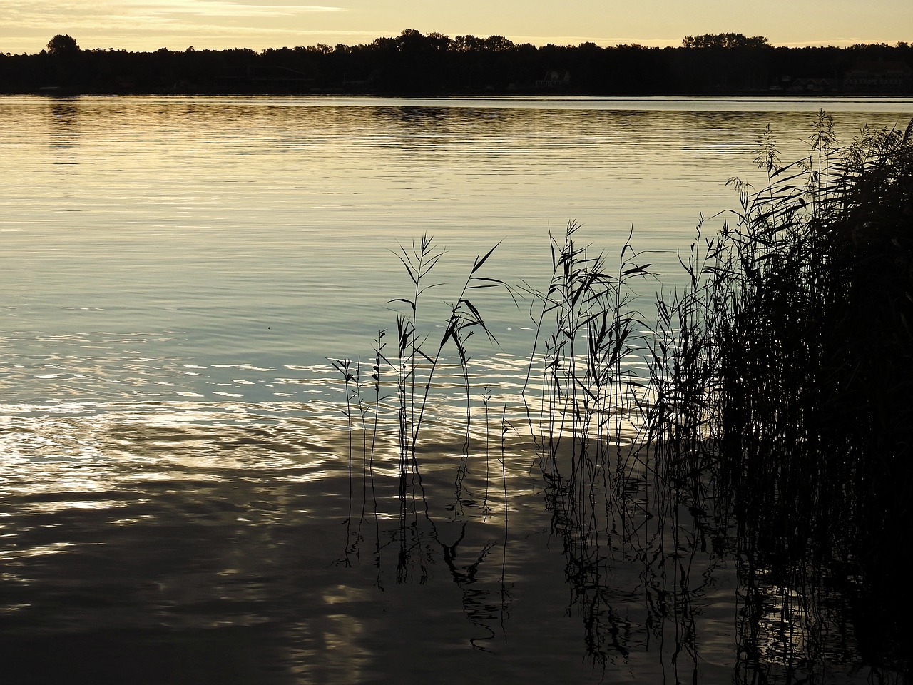 lake twilight water free photo