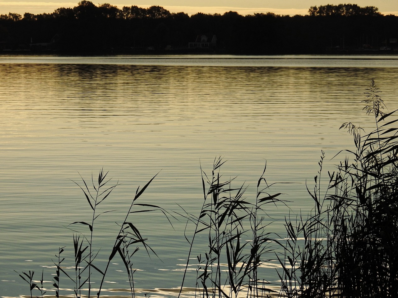 lake twilight water free photo