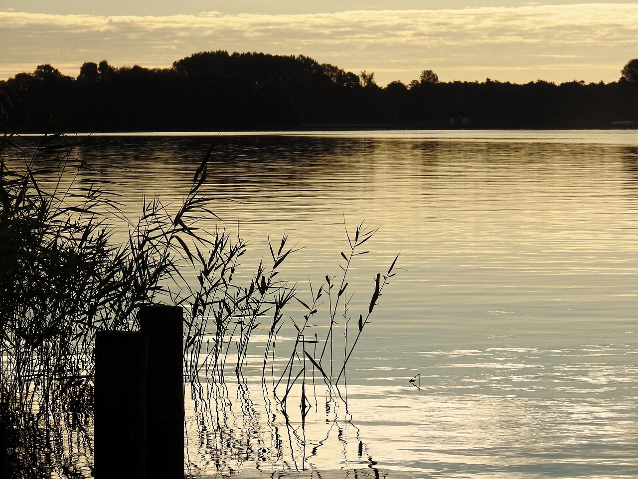 lake twilight water free photo